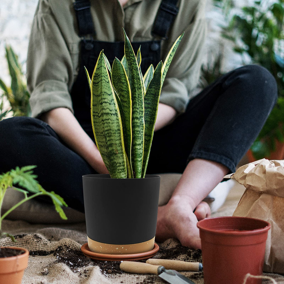QCQHDU indoor plant pot ideal for shelves, windowsills, and desks