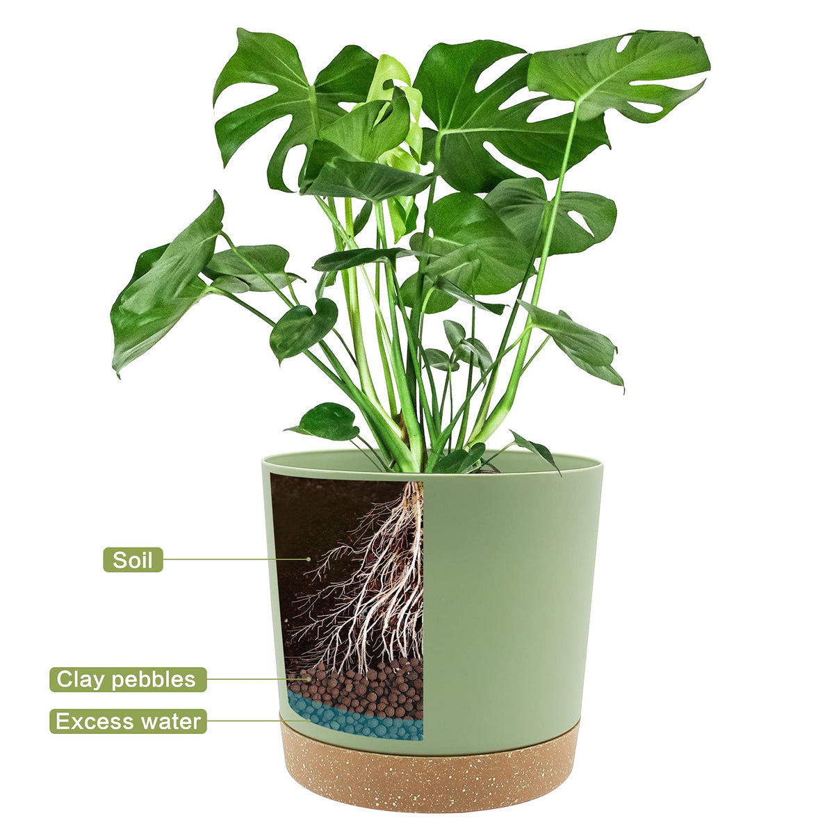 QCQHDU indoor-outdoor plant pot fits balconies, desks, and shelves for versatile display
