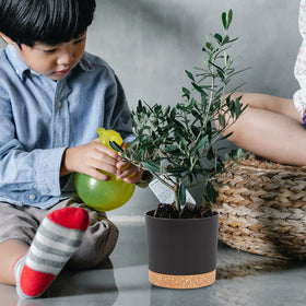 QCQHDU kitchen-windowsill planters boost greenery with easy cleaning and drainage.