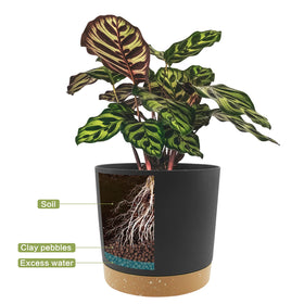 QCQHDU minimalist modern planter suitable for indoor and outdoor spaces