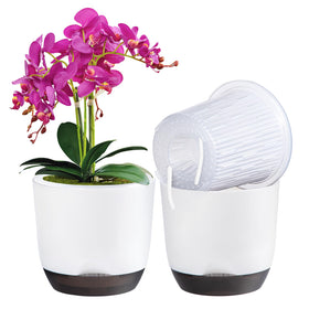 QCQHDU orchid pot with holes promotes air flow and healthy roots.