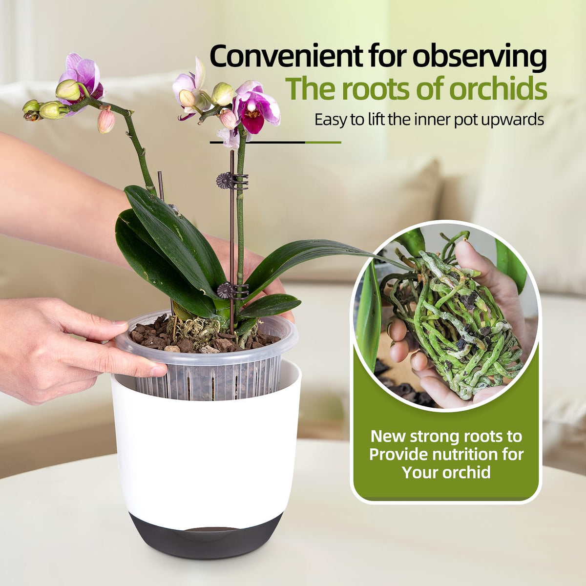 QCQHDU inner pot with holes enables 360° air exchange for roots.