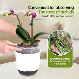 QCQHDU inner pot with holes enables 360° air exchange for roots.