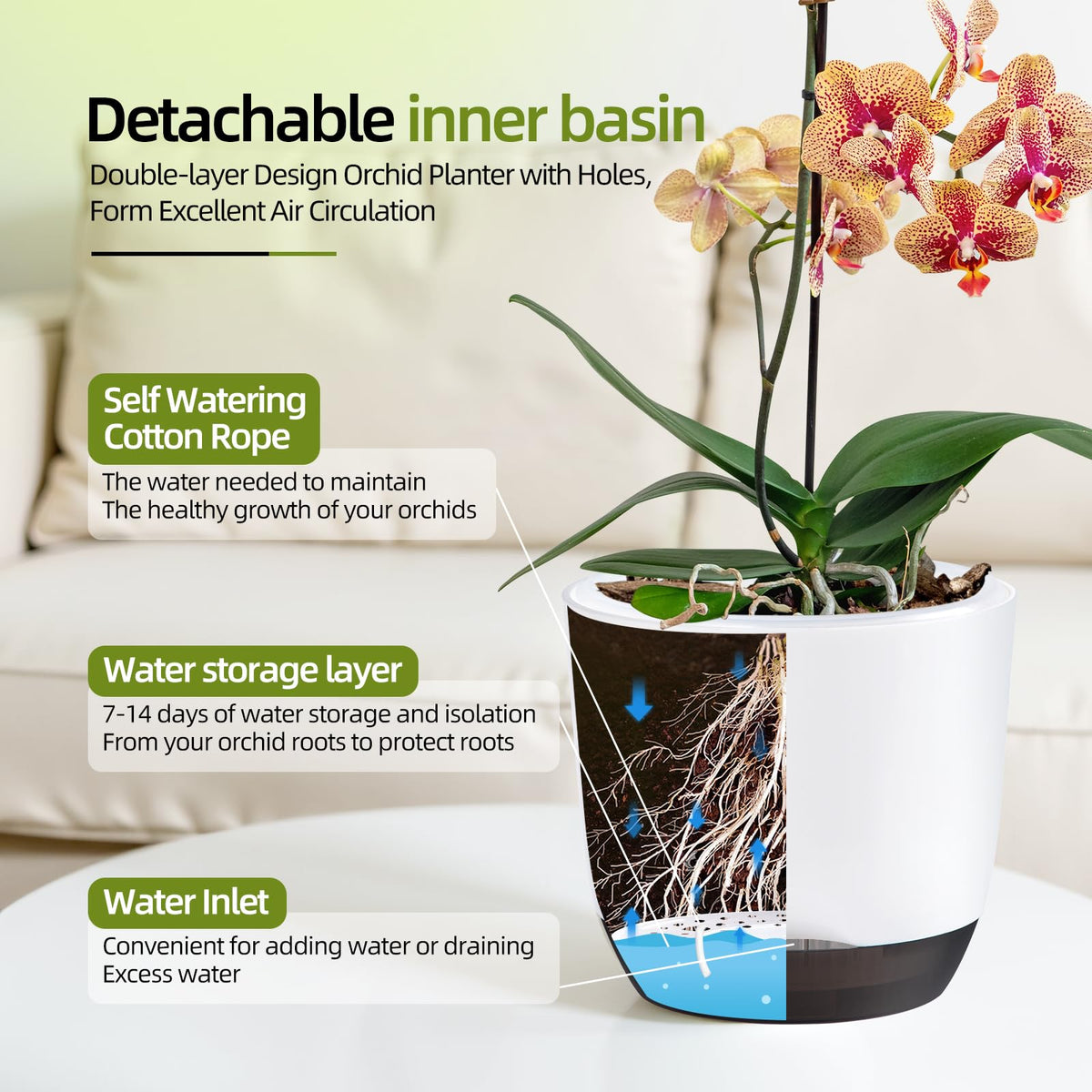 QCQHDU transparent inner pot allows easy root observation.