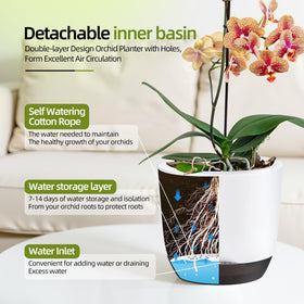 QCQHDU transparent inner pot allows easy root observation.