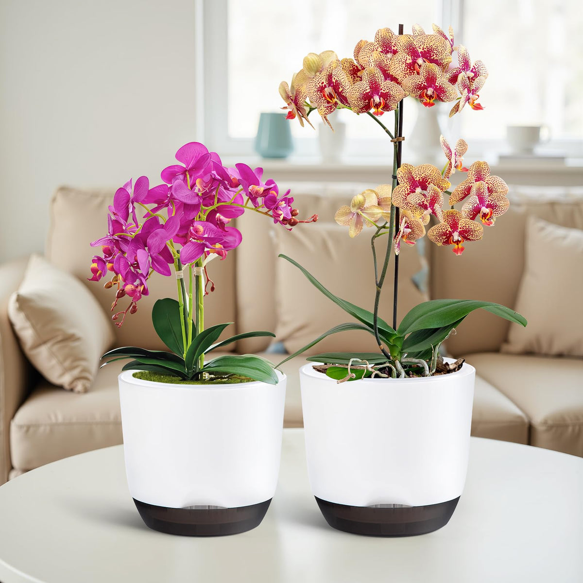 QCQHDU self-watering feature helps maintain balanced moisture.