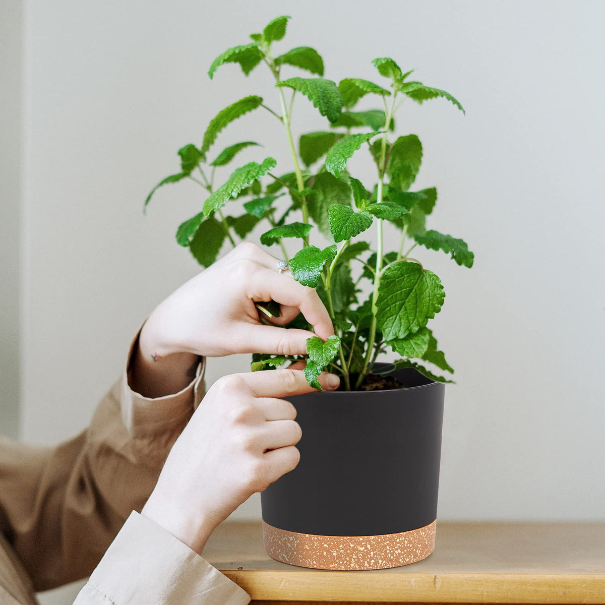 QCQHDU thick-walled pot offers sturdy planting space for long-term use.