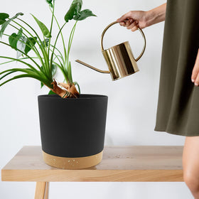 QCQHDU thick-walled PP planter offers sturdy, durable use