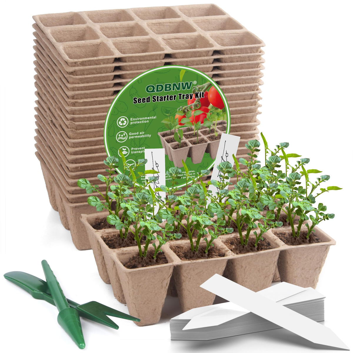 QDBNW 240-cell seed starter tray kit setup ready for germination and variety planting