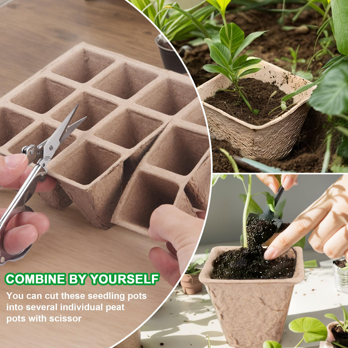 QDBNW transplant tools included for gentle, precise seedling transplantation
