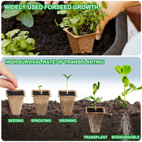 QDBNW drainage holes close-up illustrate moisture control and healthy root growth