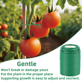 QenFree flexible ties bend easily without harming stems.