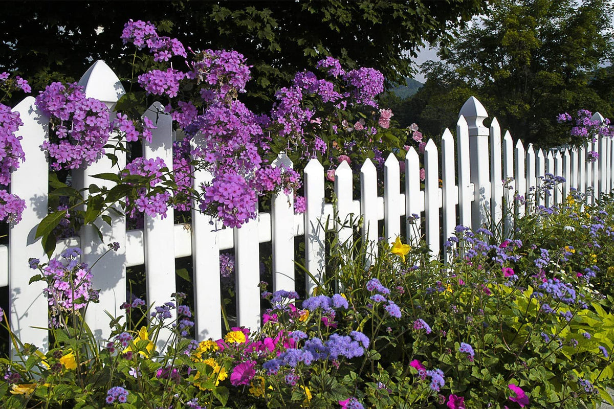 QEVJEKR bird-friendly seed mix supports birds, bees, and hummingbirds