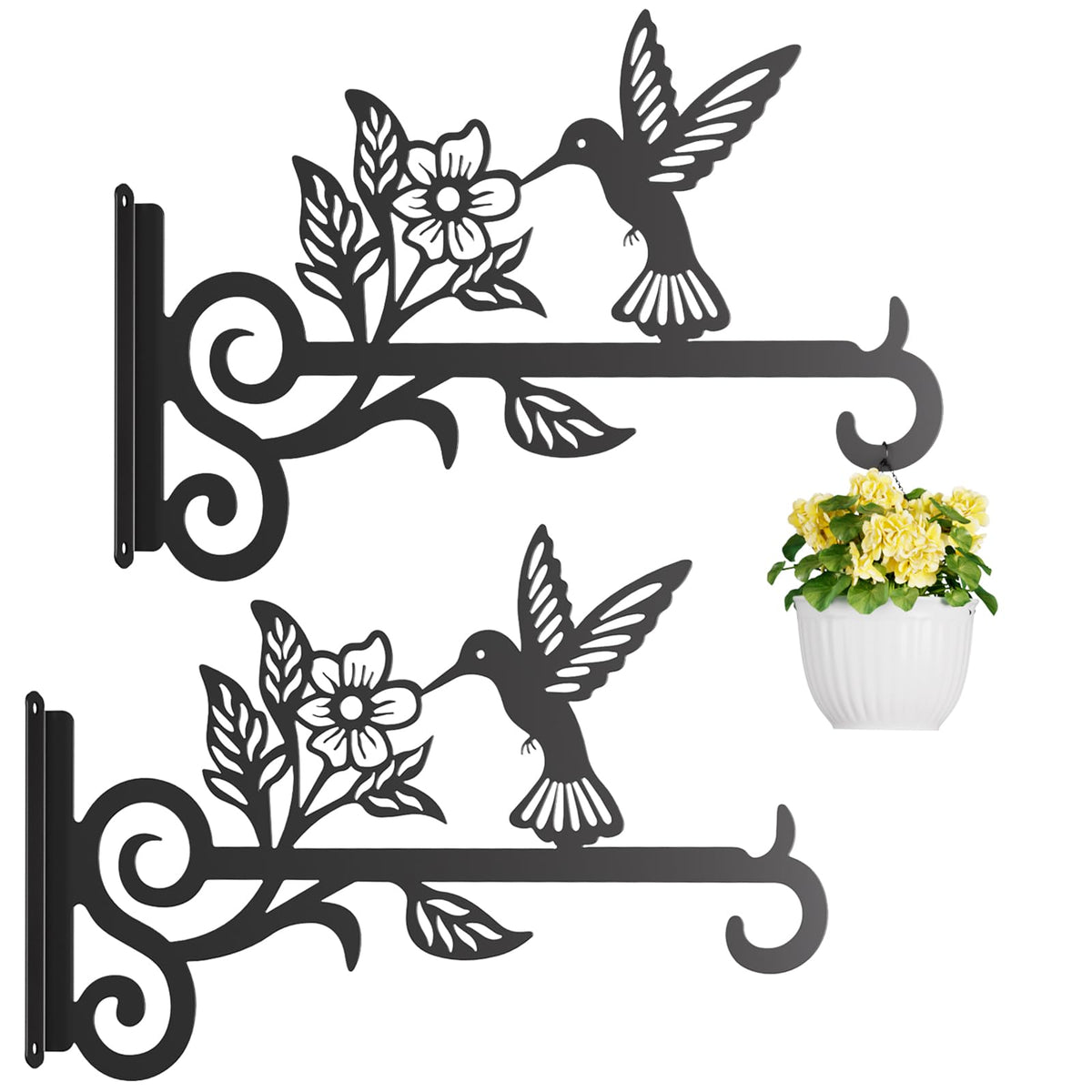 Qiaogreen 2-pack hanging bracket with hummingbird pattern for indoor or outdoor plant displays.
