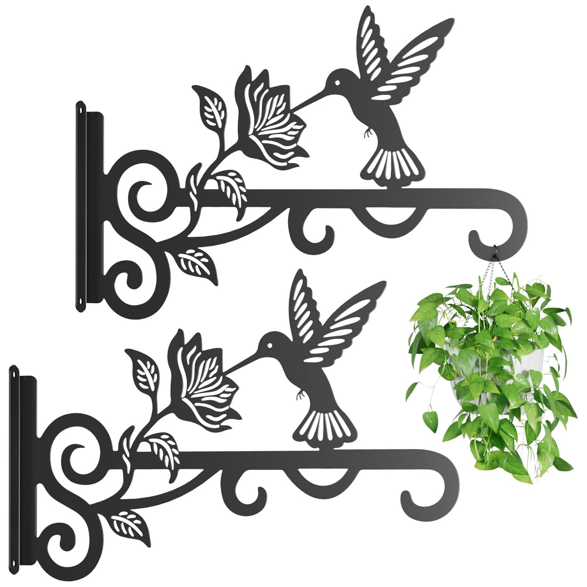 Qiaogreen hummingbird pattern bracket enhances outdoor decor with plant display.