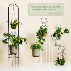 QIAOKAIYAN decorative scroll design adds garden charm while supporting vines.