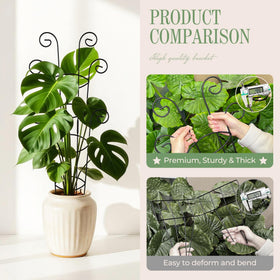 QIAOKAIYAN trellis base insertion depth ensures stable mounting in pots.