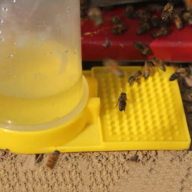 Qicfrk bee water feeder suited for outdoor garden and beekeeping spaces.