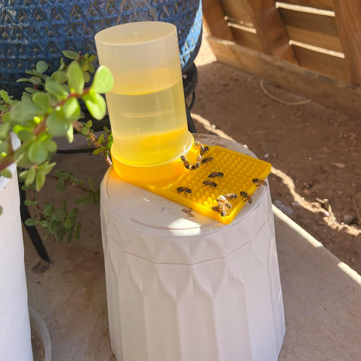 Qicfrk two-pack bee water feeder offers value and reliable hydration.