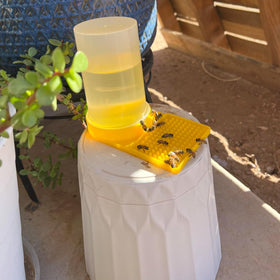 Qicfrk two-pack bee water feeder offers value and reliable hydration.