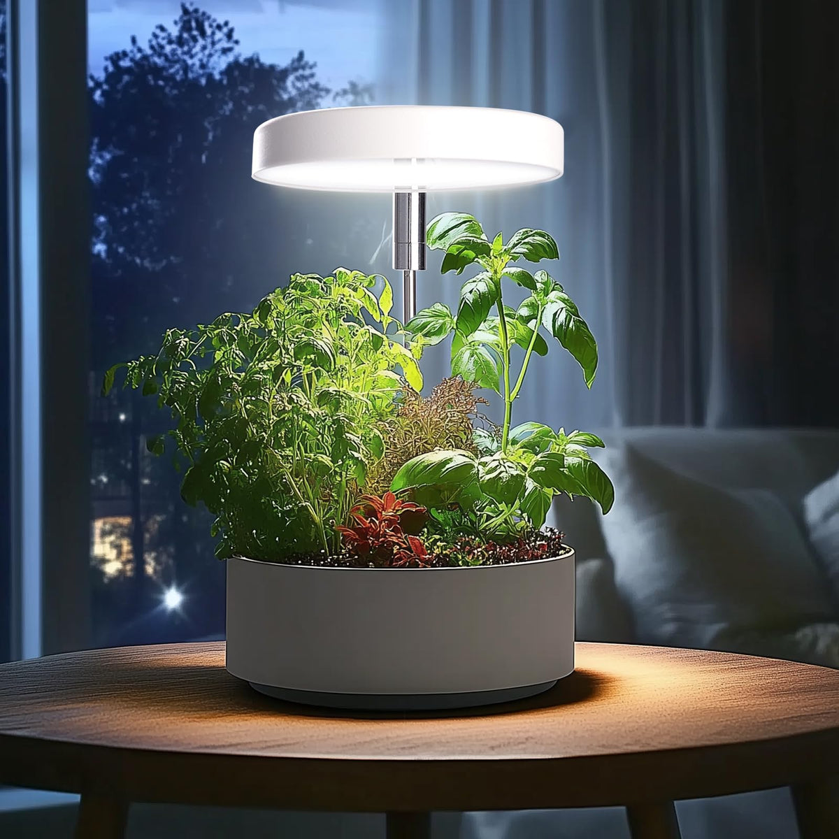Qicodu energy-efficient LEDs save power while fueling steady indoor plant growth.