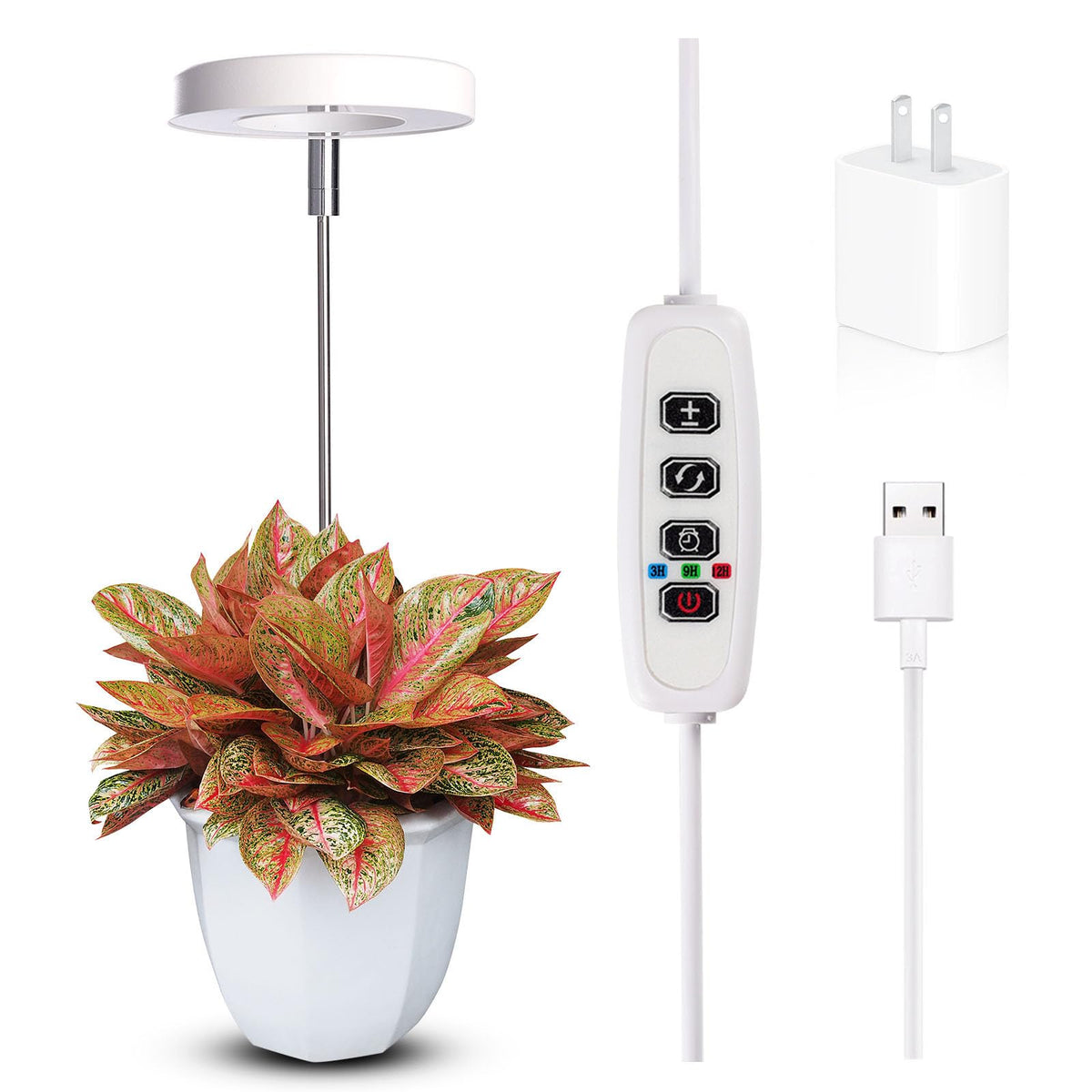 Qicodu grow light for indoor plants provides full-spectrum illumination to support healthy foliage.