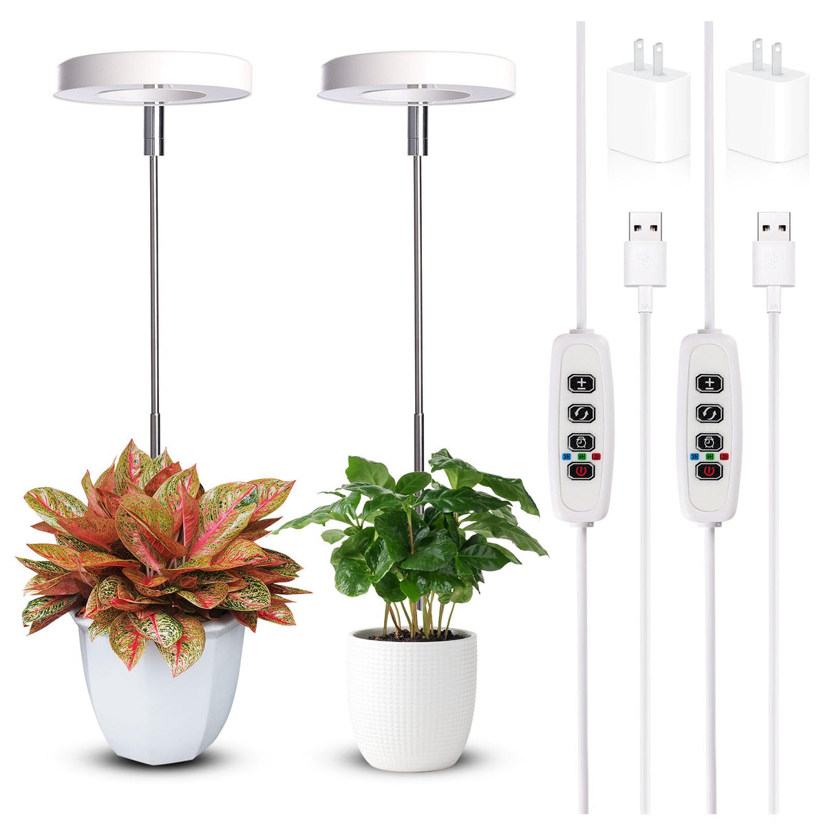 Qicodu grow light full spectrum illuminating compact indoor plants for healthy growth.