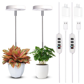 Qicodu grow light full spectrum illuminating compact indoor plants for healthy growth.