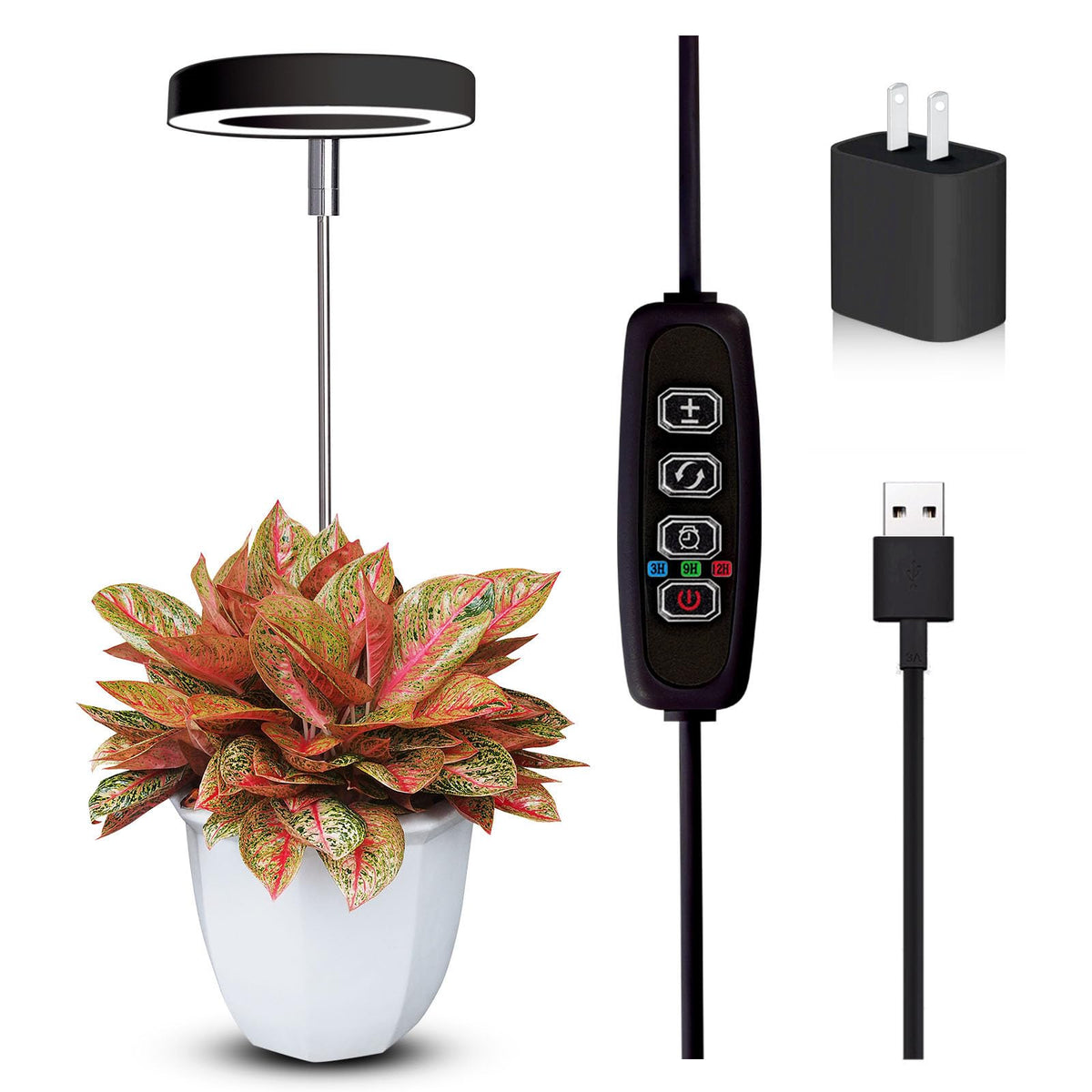 Qicodu grow light panel over a small desk plant for balanced growth