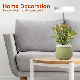 Qicodu grow light ideal for succulents, herbs, and foliage on window sills.