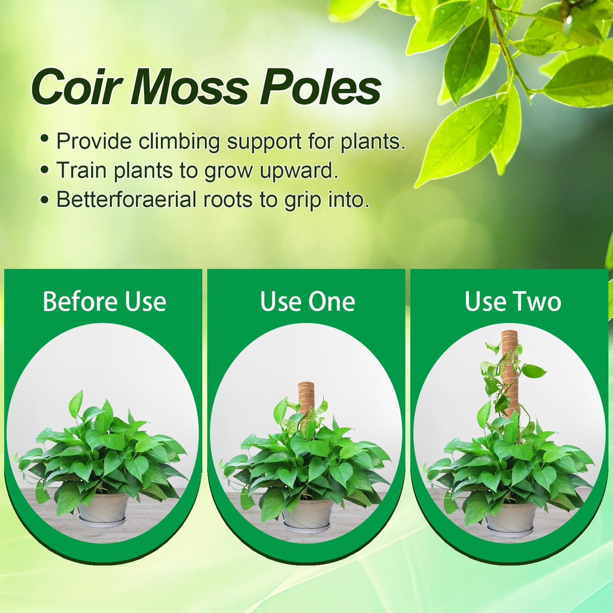 Qicodu 17-inch moss pole provides vertical growth reinforcement for plants.