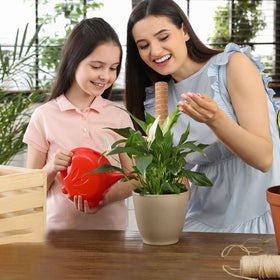 Qicodu moss poles suitable for indoor and outdoor plant training.