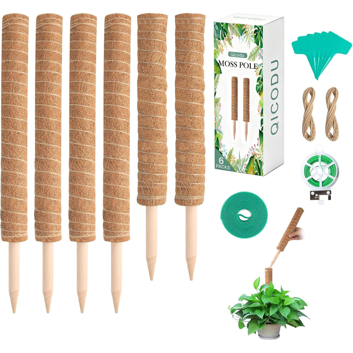 Qicodu moss poles demonstrate stackable height for tall Monstera support.