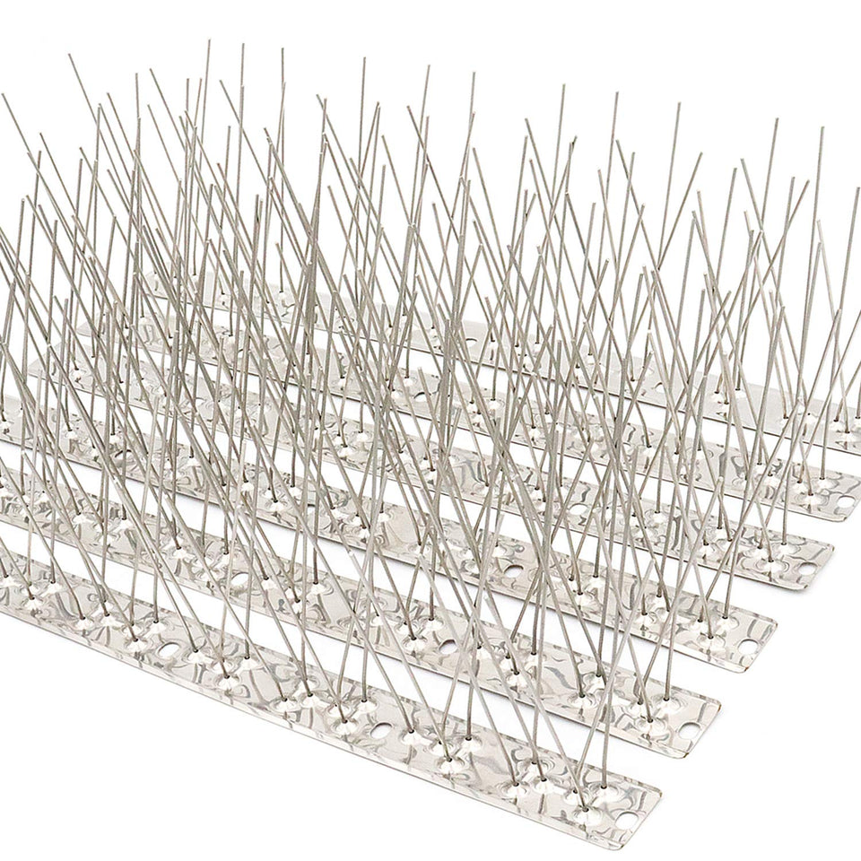 QIEGL bird spikes on a fence deter pigeons and protect exterior surfaces.
