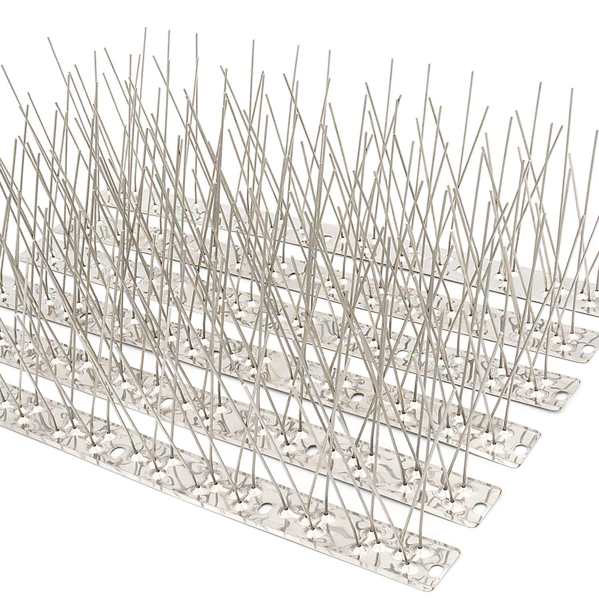 QIEGL Bird Spikes with 304 stainless steel coverage protect rooftops from pigeons.