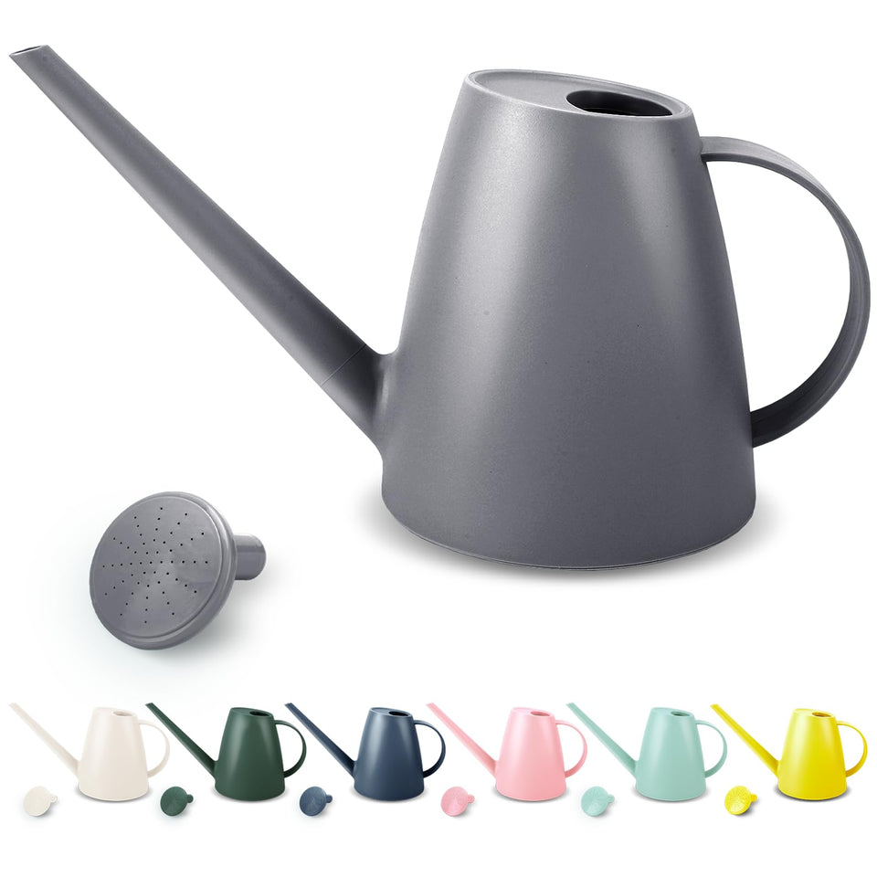 Qilebi watering can with detachable nozzle for precise indoor watering