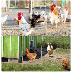 Qinfly easy-install arc-shaped chicken swing for coop or yard