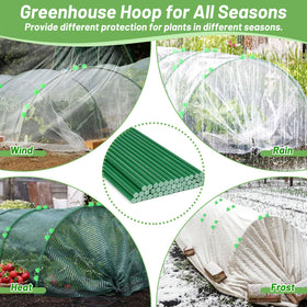 Qinzave ready-to-build mini greenhouse demonstrates quick tunnels for protected growing.