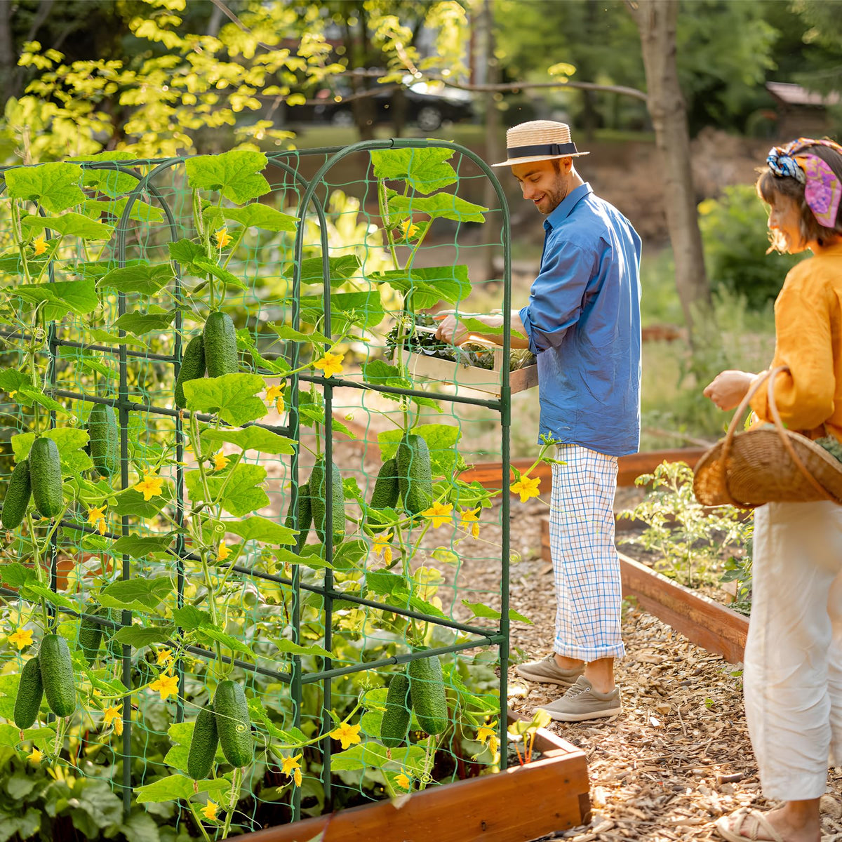 Qinzave arch trellis helps optimize small garden space