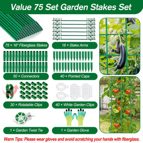 Qinzave stake arms displaying modular climbing support for tomatoes and climbers