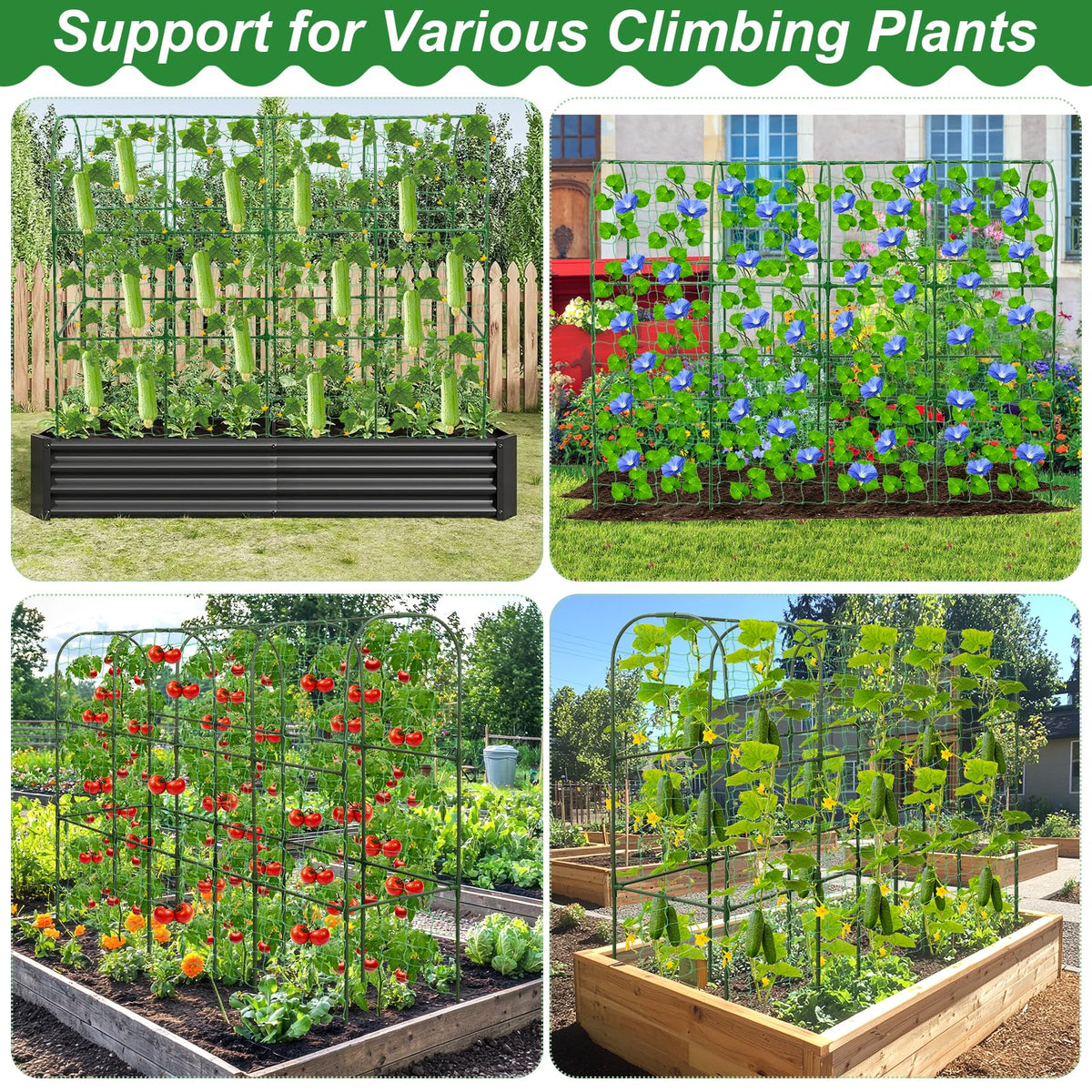 Qinzave trellis suitable for cucumbers, peas, tomatoes, and more