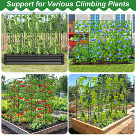 Qinzave trellis suitable for cucumbers, peas, tomatoes, and more