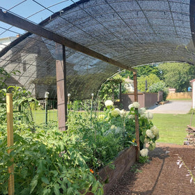 QLOFEI garden bed shade cloth reduces heat while preserving light