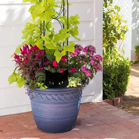 Qmetalart peeping cat garden ornament enhances entryways and borders.