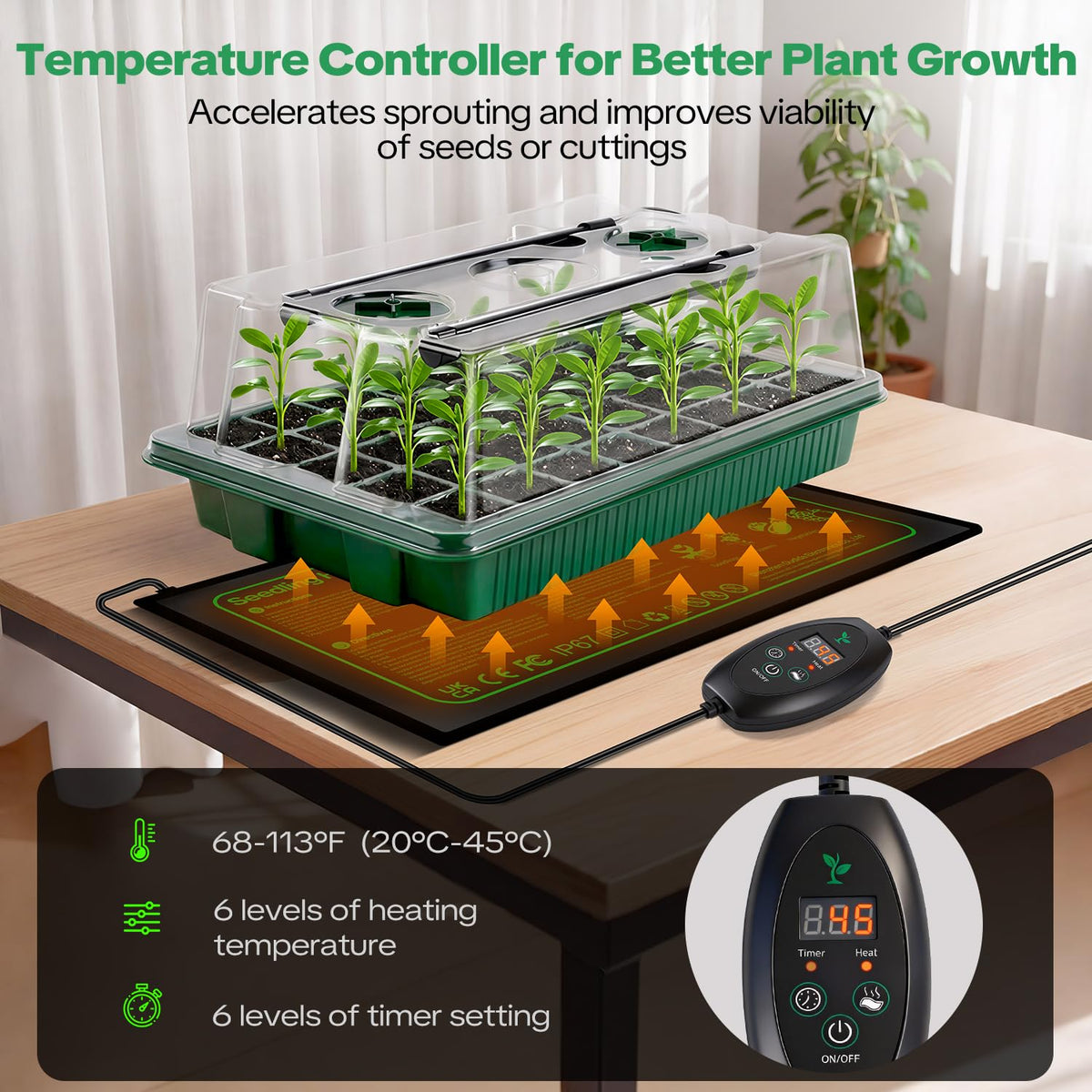 Qmioti LED grow lights simulate sunlight to support healthy seedlings