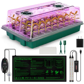 Qmioti seed starter tray 40-cell ready for reliable indoor seed germination