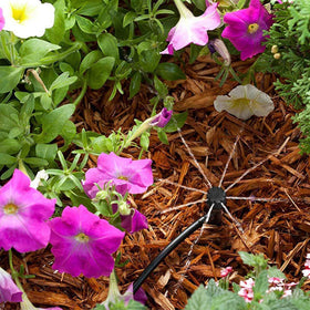 QMOEH garden irrigation system in action across a flower bed