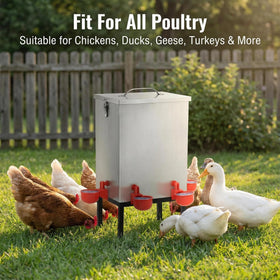 Qnemaei suitable for chickens and ducks in small farms