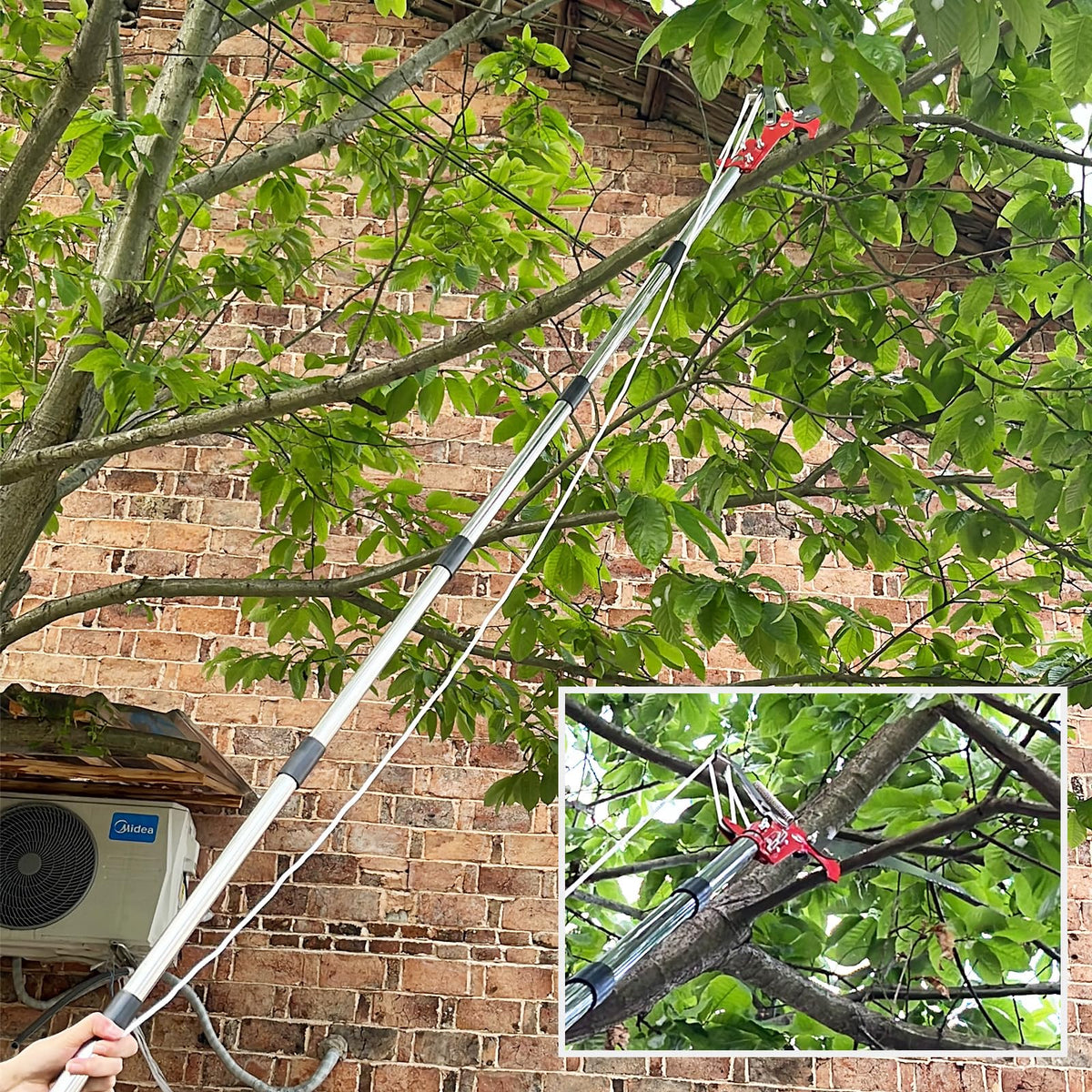 QNFANN coconut harvesting and branch trimming in one versatile tool