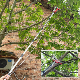 QNFANN coconut harvesting and branch trimming in one versatile tool